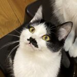 ソラ